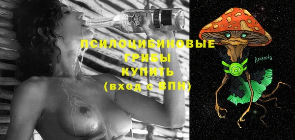 кокс Баксан