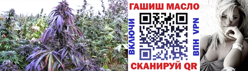 Дистиллят ТГК вейп  Купить где  Бобров 